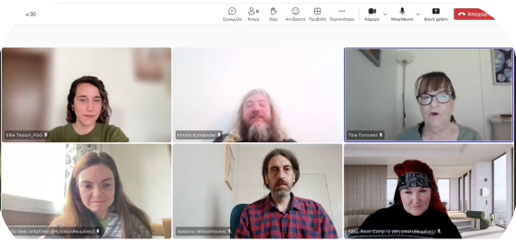 RISE partners meeting online